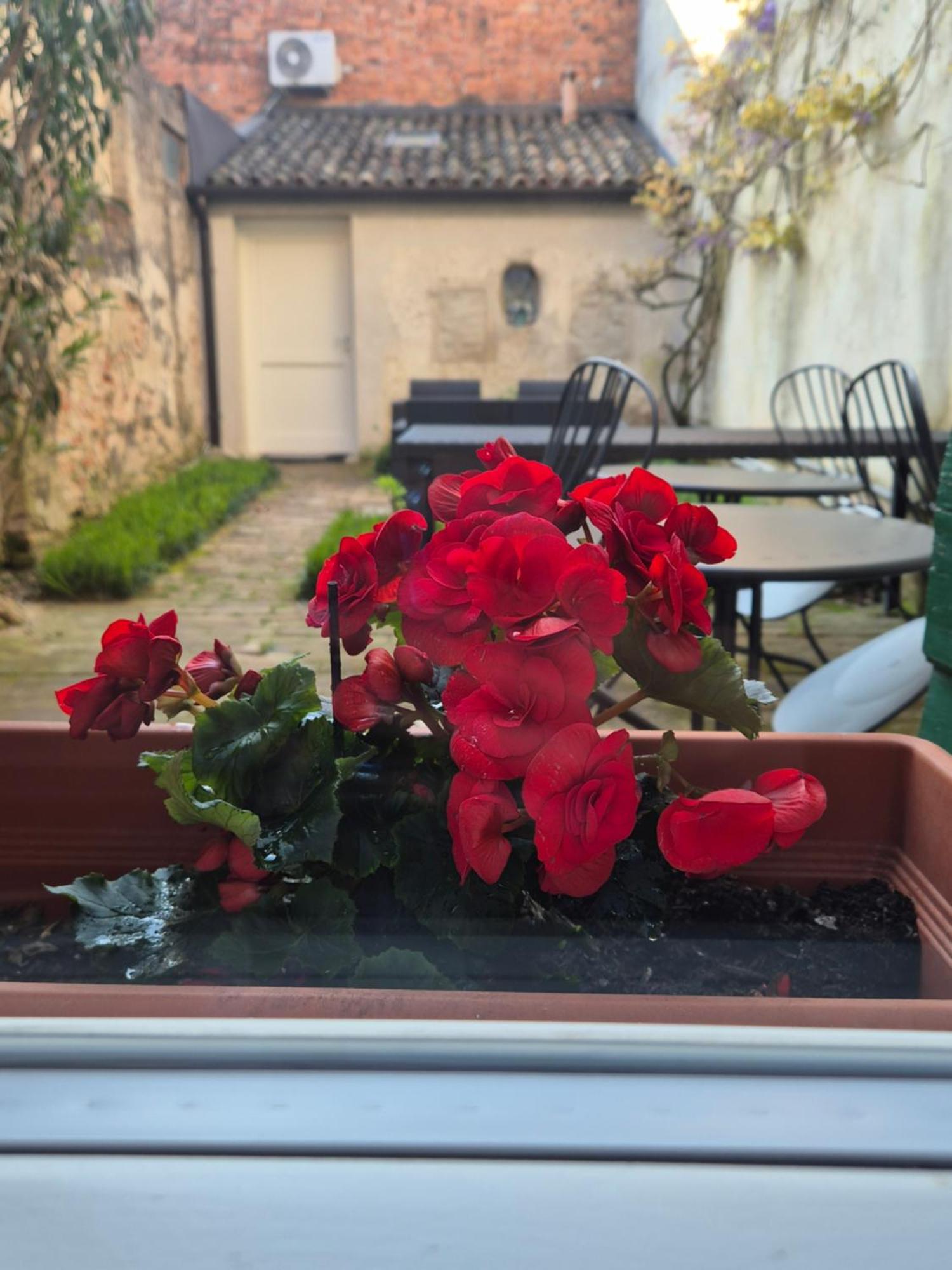 Bed & Breakfast 19 Borgo Cavour